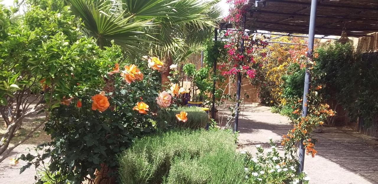 نكوب Auberge Bassou المظهر الخارجي الصورة