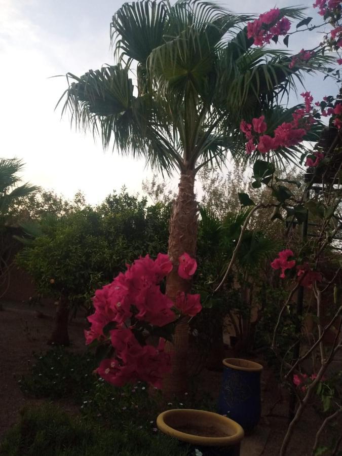 نكوب Auberge Bassou المظهر الخارجي الصورة
