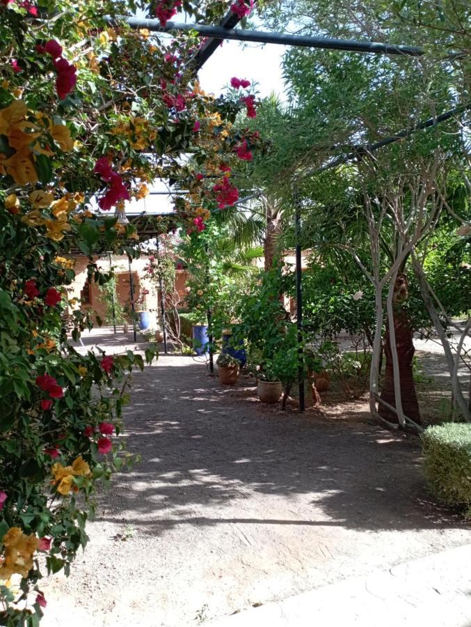 نكوب Auberge Bassou المظهر الخارجي الصورة