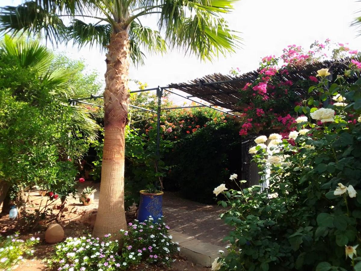 نكوب Auberge Bassou المظهر الخارجي الصورة