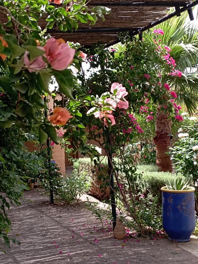 نكوب Auberge Bassou المظهر الخارجي الصورة